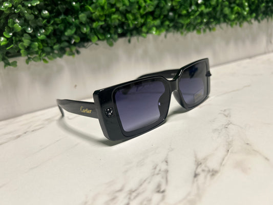 Sunglasses 028