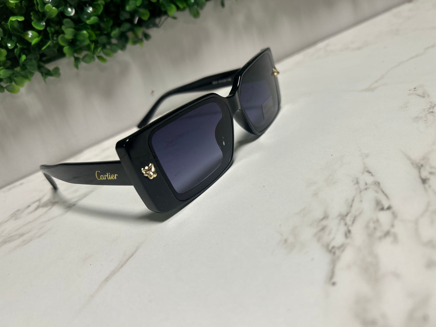 Sunglasses 026