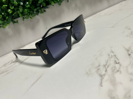 Sunglasses 026